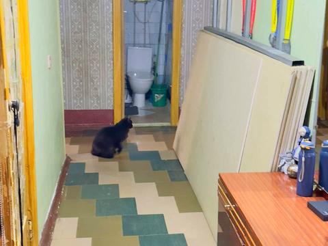 квартира по адресу Яскрава ул. (Тверская), 9