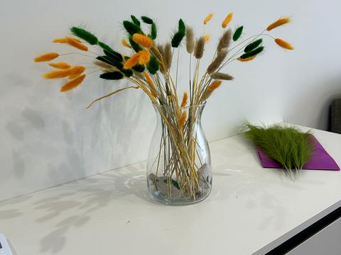 квартира за адресою Олександра Олеся вул., 8/17