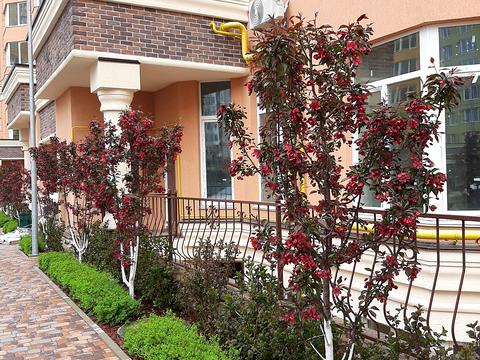 квартира по адресу Зелена ул., 3