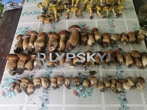 будинок за адресою Фізична