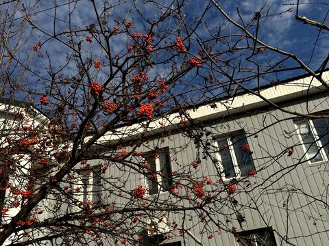 квартира за адресою Михайлика вул. (Височиненка), 4