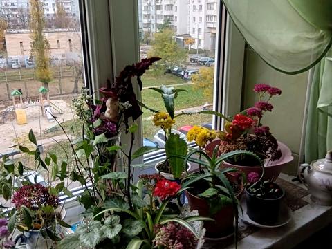 кімната за адресою Червоної Калини просп. (Володимира Маяковського), 40