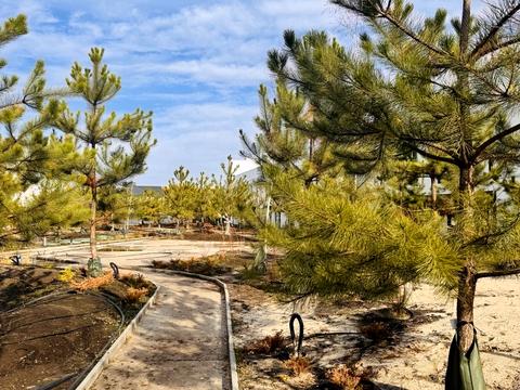 дом по адресу Рассветная ул.