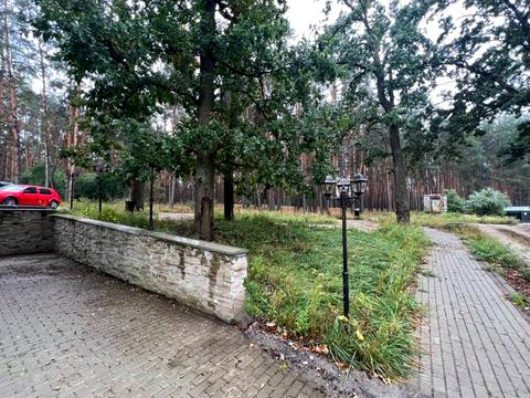 комерційна за адресою Гайдамацька вул., 17-Б