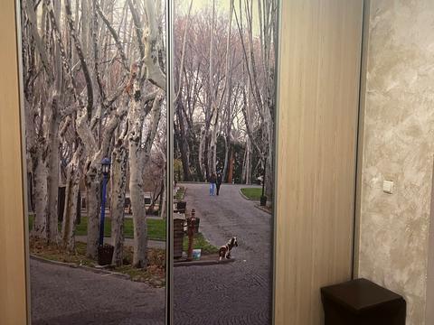 квартира по адресу Олены Пчилки ул., 2