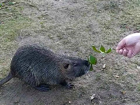 ділянка за адресою Холодна вул.