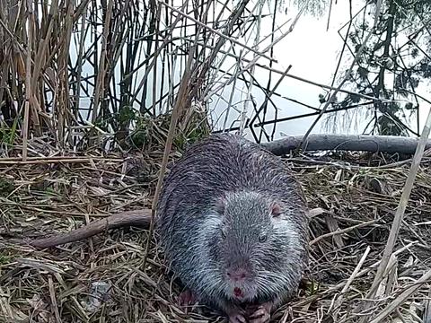 ділянка за адресою Холодна вул.