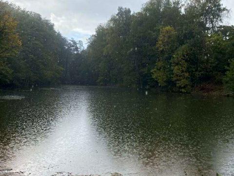 ділянка за адресою Холодна вул.