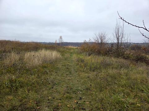 ділянка за адресою с. Красне Перше, 