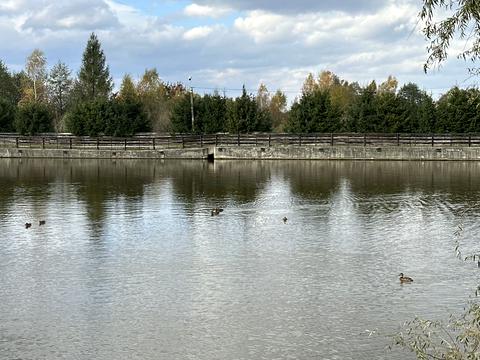 коммерческая по адресу Котляревского ул., 3