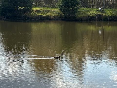коммерческая по адресу Котляревского ул., 3