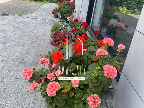 дом по адресу с. Мархалевка, Лесі Українки