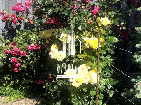 дом по адресу с. Мархалевка, Лесі Українки