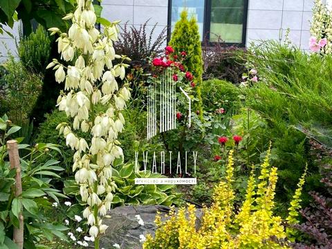 дом по адресу с. Мархалевка, Лесі Українки