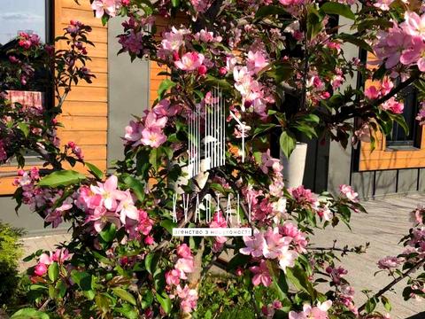 дом по адресу с. Мархалевка, Лесі Українки