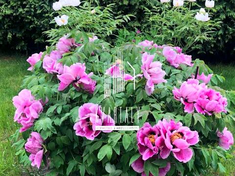 дом по адресу с. Мархалевка, Лесі Українки