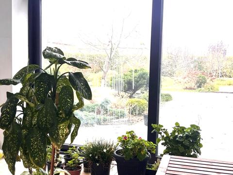 дом по адресу с. Мархалевка, Лесі Українки