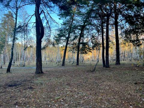 квартира за адресою Чорних Запорожців вул. (Петра Запорожця), 11