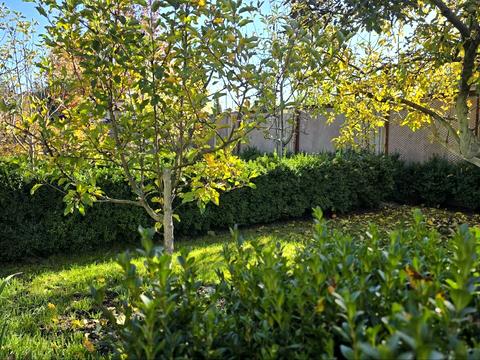 будинок за адресою Вернигори, 71/1