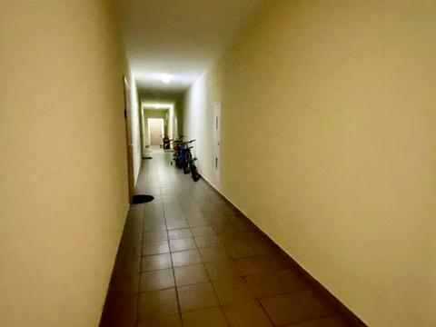 квартира по адресу Симона Петлюры ул. (Черняховського), 20