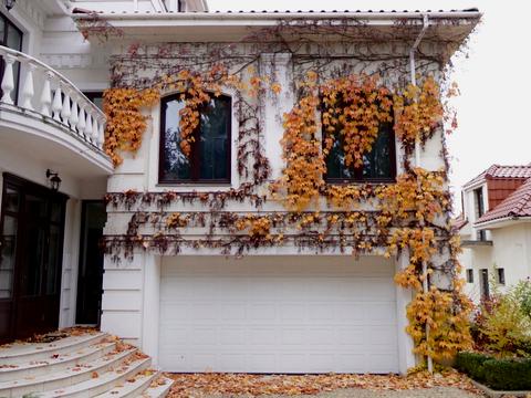 дом по адресу Береговая ул.