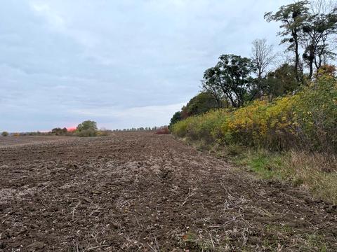 ділянка за адресою 