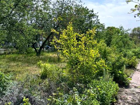 дом по адресу Липова