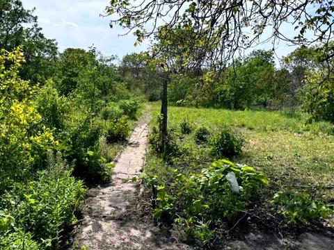 дом по адресу Липова