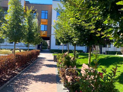 квартира по адресу Наталії Околітенко ул. (Ломоносова), 93