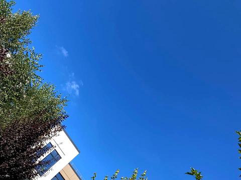 квартира по адресу Наталії Околітенко ул. (Ломоносова), 93