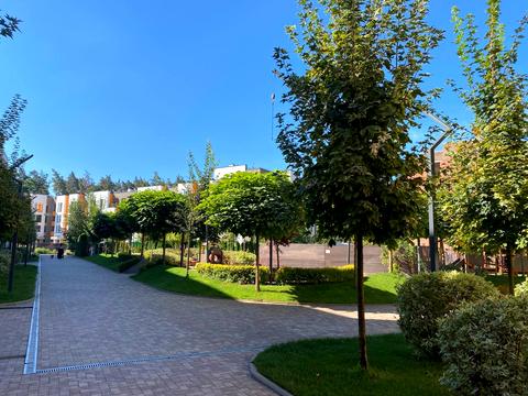 квартира по адресу Наталії Околітенко ул. (Ломоносова), 93