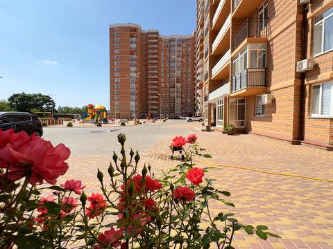 квартира по адресу Жаботинского ул. (Пролетарская улица), 56а