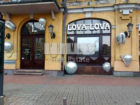 комерційна за адресою Велика Васильківська вул. (Червоноармійська), 1/13