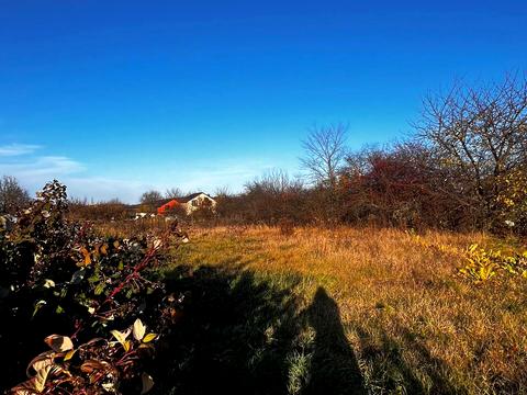 ділянка за адресою с. Пултівці, Дачна, 42