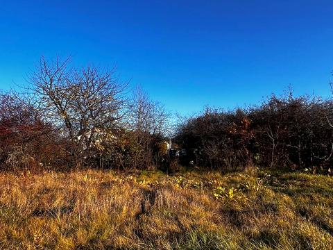 ділянка за адресою с. Пултівці, Дачна, 42