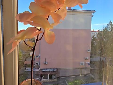 квартира по адресу Проездная ул., 13