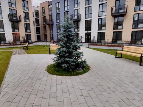 квартира по адресу Зелена бічна, 101