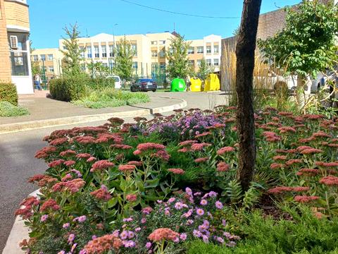 квартира по адресу Нове шоссе, 14