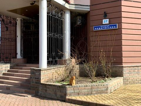 коммерческая по адресу Педагогическая ул., 27