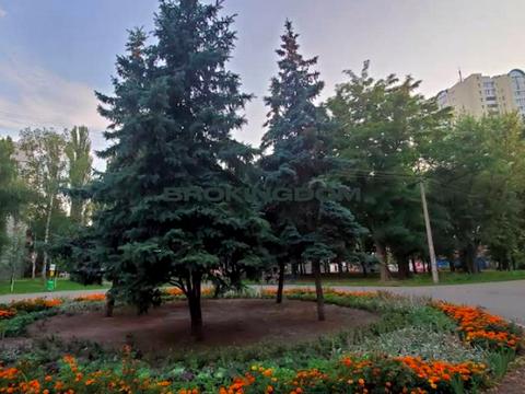 квартира по адресу Василя Доманицького ул. (Генерала Потапова), 1-Г