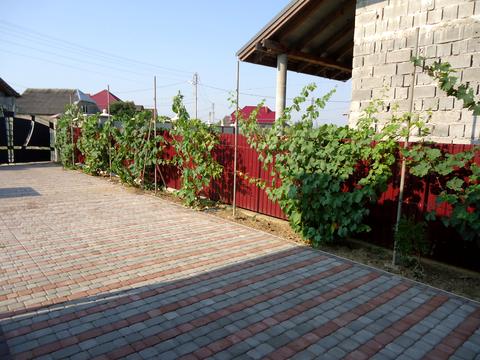 дом по адресу Українська