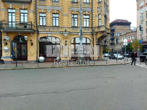 комерційна за адресою Велика Васильківська вул. (Червоноармійська), 1/13