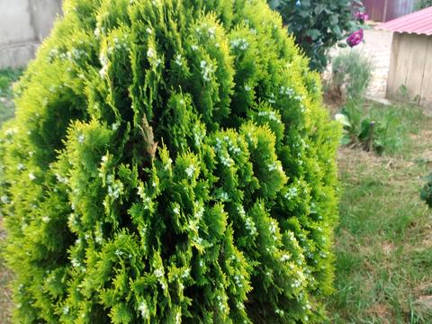 дом по адресу Українська