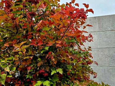 дом по адресу пірогова, 33