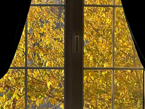 квартира по адресу Дмитрия Луценко ул. (Крейсера 'Аврора'), 14-А