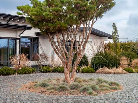 дом по адресу Сонячна