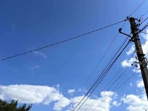 ділянка за адресою провулок Котляревського, 4