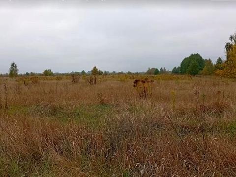 ділянка за адресою Харьковская