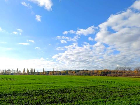 дом по адресу Вишнева, 4