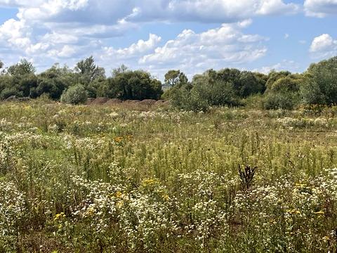 участок по адресу 